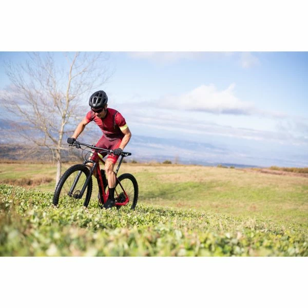 VÉLO VTT SEMI RIGIDE ROCKRIDER XC 900 29'' CARBONE GX EAGLE LUNAR 16 VÉLO VTT SEMI RIGIDE ROCKRIDER XC 900 29'' CARBONE GX EAGLE LUNAR – Image 16